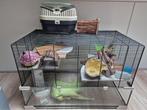 Hamsterhok met speeltjes en houtvezels, Gebruikt, 75 tot 110 cm, Ophalen, Minder dan 60 cm