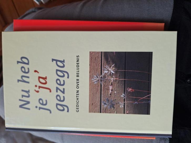 Nu heb je ja gezegd, Boeken, Godsdienst en Theologie, Zo goed als nieuw, Ophalen of Verzenden