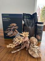 Dennerle decor bonsai met soil en zand NIEUW, Ophalen of Verzenden, Nieuw, Plant(en), Steen of Hout