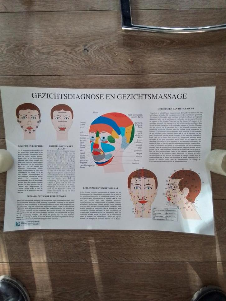 Gezichtsdiagnose en gezichtsmassage poster, Hobby en Vrije tijd, Cursusmateriaal, Gebruikt, Welzijn en Spiritualiteit, Boek, Ophalen of Verzenden