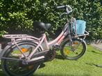Alpina cargo meisjesfiets 16 inch, Fietsen en Brommers, Fietsen | Meisjes, Ophalen of Verzenden, Zo goed als nieuw, 16 inch