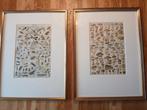 H. Dumoulin Lithografie - Insecten & Paddenstoelen, Antiek en Kunst, Antiek | Schoolplaten, Ophalen of Verzenden
