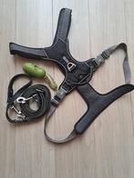 Hondenharnas + riem XXL, Dieren en Toebehoren, Ophalen of Verzenden, Gebruikt