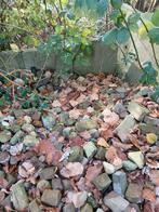Waalklinkertjes, Tuin en Terras, Grind, Keien en Split, Ophalen, Gebruikt, Overige materialen, Overige typen