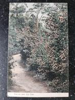 Venray ?? Parc Ste. Oda, Verzenden, Voor 1920, Gelopen, Limburg