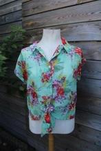 Blousje mint/ kleur King Louie mt 38 transparant Vaste prijs, Kleding | Dames, Blouses en Tunieken, Maat 38/40 (M), Ophalen of Verzenden