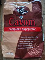 Cavom puppy  (5kg), Ophalen, Hond