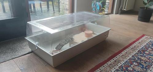 Mooie, beige hamsterkooi van Ferplast, Dieren en Toebehoren, Knaagdieren en Konijnen | Hokken en Kooien, Gebruikt, Kooi, Minder dan 60 cm