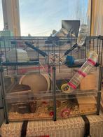 Goudhamster hok, Ophalen, Hok, Minder dan 60 cm