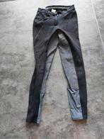 Gratis paardrijbroek Maat M (alleen ophalen), Dieren en Toebehoren, Paardrijkleding, Ophalen, Gebruikt