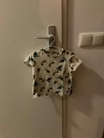 T-shirt, Kinderen en Baby's, Babykleding | Maat 80, Nieuw, Ophalen of Verzenden, Kids gallery, Jongetje