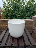 Witte bloempot, Tuin en Terras, Bloempotten, Rond, Minder dan 40 cm, Aardewerk, Ophalen