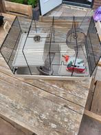 Hamsterkooi L50xB33xH32, Kooi, Gebruikt, Minder dan 75 cm, Ophalen