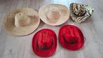 Leuke Carnaval Hoeden - 5 stuks, Ophalen