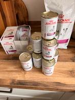 Royal canin renal special, Dieren en Toebehoren, Dierenvoeding, Ophalen