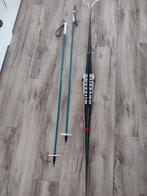 Prachtige Blizzard Chemical langlaufski's en stokken, 195 cm, Sport en Fitness, Onb, Onb, Onb, Ski's