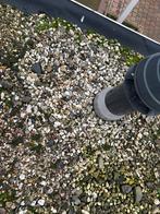 Gratis dak grind  op te halen, Tuin en Terras, Ophalen, Grind