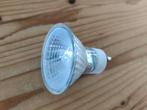 16x dimbare halogeenlampjes gu10 (50watt per stuk), Ophalen, Zo goed als nieuw, Plafondspot of Wandspot, Led