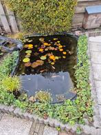 Gratis vijver met vissen af te halen, Tuin en Terras, Ophalen, Gebruikt