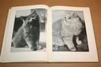Big cats and little cats - 48 Photographs Hedda Walther 1934, Ophalen of Verzenden, Gelezen, Vogels