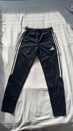Adidas broek - Nieuw!, Zwart, Nieuw, Ophalen of Verzenden, Adidas