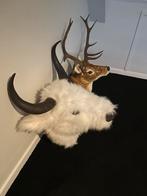 Nep koppen in echte volwassenen dieren maten, Ophalen of Verzenden, Zo goed als nieuw