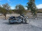 Harley Davidson VRSCA V-ROD – 2006 – 22.304 km – 1131cc, Motoren, 2 cilinders, Sportuitlaat, Motorrijbewijs A, Particulier