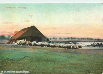 (387-245-007) Doesburg Groeten uit beschikbaar voor biedingen