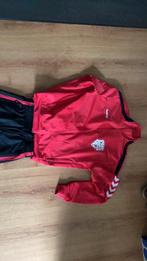 Hummel trainingspak, Hummel, Jongen of Meisje, Sport- of Zwemkleding, Zo goed als nieuw