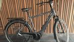 Pegasus Ravenna EVO 8F | Bosch|  lage km-stand| topkwaliteit, Zo goed als nieuw, 50 km per accu of meer, 55 tot 59 cm, Ophalen