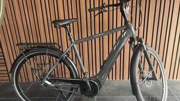 Pegasus Ravenna EVO 8F | Bosch|  lage km-stand| topkwaliteit beschikbaar voor biedingen