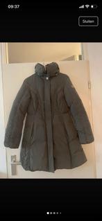 Heerlijke jas van Fornarina maat M met donsvoering, Ophalen of Verzenden, Zo goed als nieuw, Maat 38/40 (M), Groen
