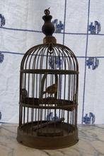Vogelkooi    ( Antiek, Antiek en Kunst, Ophalen of Verzenden