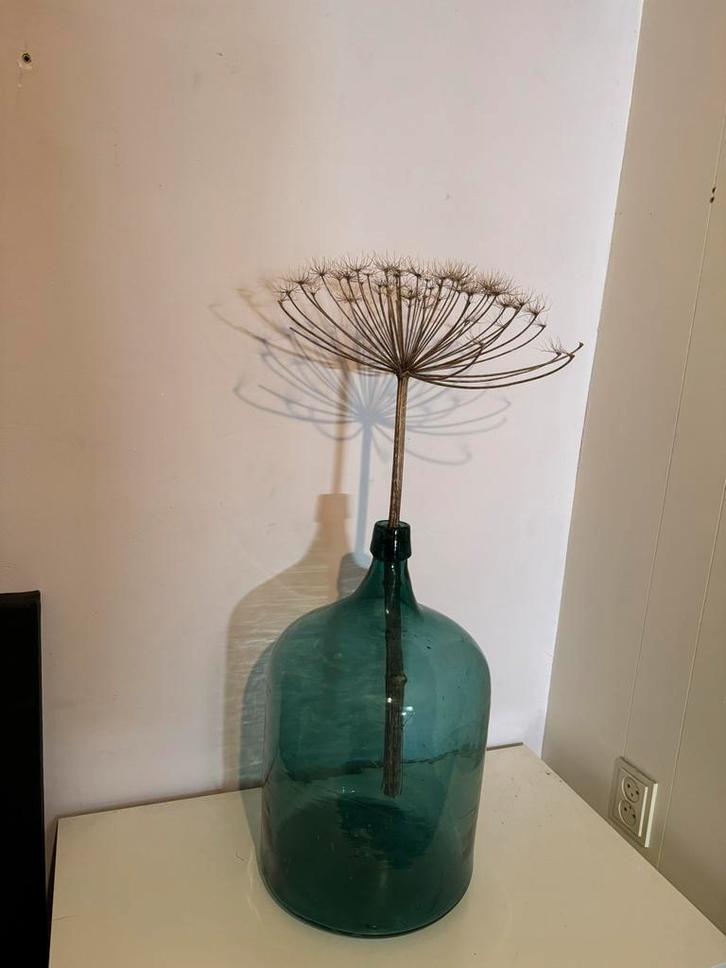 Groene Gistfles met Berenklauw, Huis en Inrichting, Woonaccessoires | Vazen, Gebruikt, Groen, 50 tot 75 cm, Glas, Ophalen