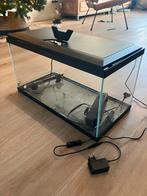 Aquarium 60 liter, Dieren en Toebehoren, Vissen | Aquaria en Toebehoren, Ophalen, Zo goed als nieuw, Leeg aquarium
