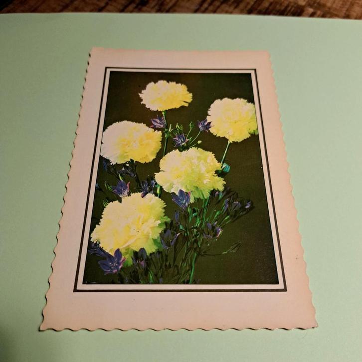 Oude ansichtkaart met bloemen, Verzamelen, Ansichtkaarten | Themakaarten, Ongelopen, 1960 tot 1980, Natuur, Ophalen of Verzenden