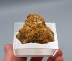 Fluelliet, Wavelliet - Tom's Quarry, Koonunga, SA, Australië, Ophalen of Verzenden, Mineraal