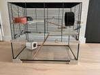 Hamsterkooi / muizenkooi (Ferplast), Kooi, Gebruikt, Minder dan 75 cm, Hamster