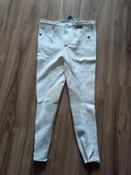 Eurostar Klara heren 50 wit rijbroek paardrijbroek R36, Nieuw, Heren, Dressuur, Onderkleding