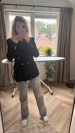 Broek Costes maat 29, Kleding | Dames, Broeken en Pantalons, Maat 38/40 (M), Overige kleuren, Ophalen of Verzenden, Zo goed als nieuw