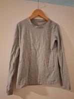 Grijze longsleeve maat 134/140, Ophalen of Verzenden, Zo goed als nieuw, Meisje, Shirt of Longsleeve