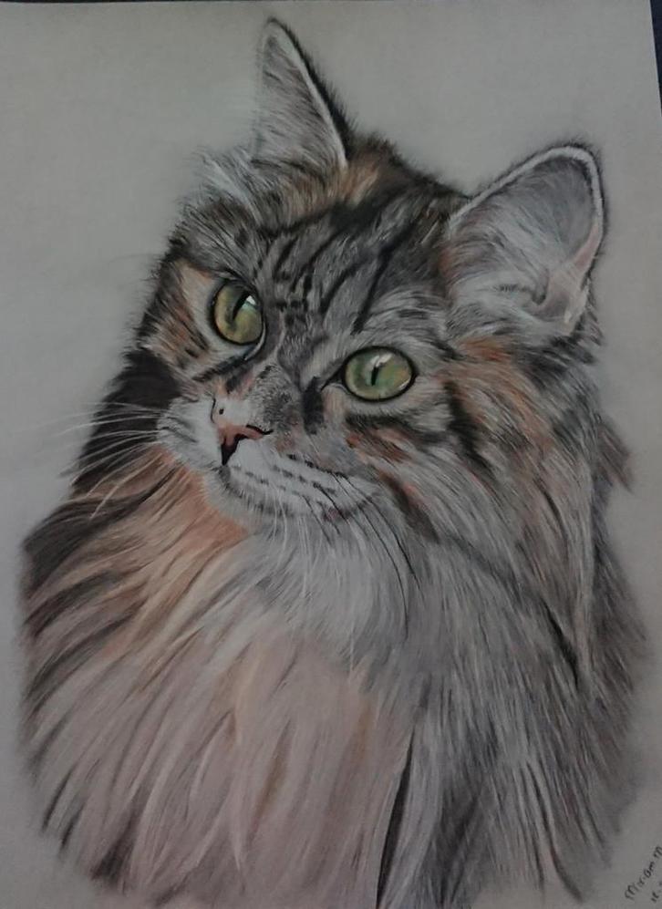 Pasteltekening van katten, Hobby en Vrije tijd, Tekenen, Ophalen of Verzenden
