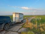 Gezocht Schapentrailer veewagen veetrailer, Dieren en Toebehoren, Geslacht onbekend, Schaap, 0 tot 2 jaar