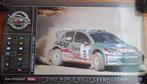 Originele Peugeot WORLD RALLY 2002 POSTERS, Ophalen of Verzenden