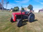 Nette mf 35 3 cyl  / div onderdelen massey ferguson, Zakelijke goederen, Agrarisch | Tractoren, Gebruikt, Ophalen of Verzenden