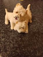 West Highland white terrier beeldjes, Ophalen, Zo goed als nieuw