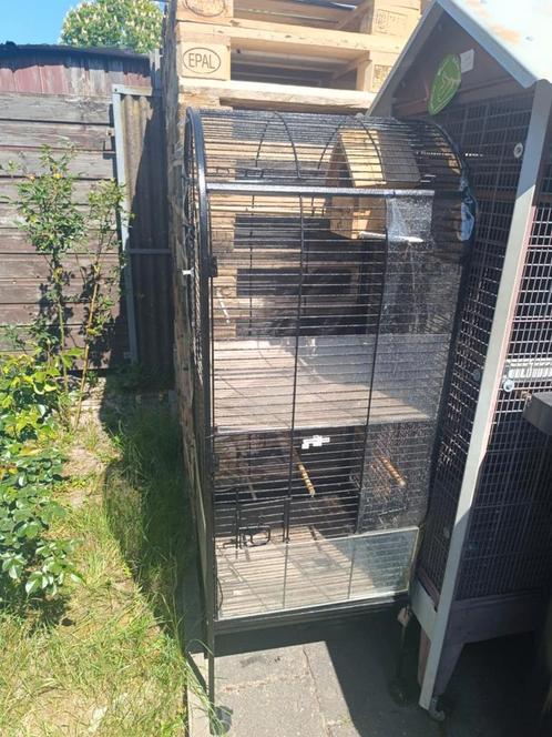 Grote stevige kooi – 150 cm hoog, 52 cm breed, Dieren en Toebehoren, Vogels | Hokken en Kooien, Zo goed als nieuw, Vogelkooi, Metaal