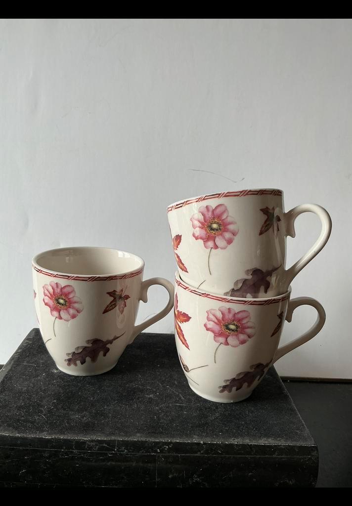 3 x Janneke Brinkman kopjes “ Seasons “, herfst sfeer. JBS., Antiek en Kunst, Antiek | Servies los, Ophalen of Verzenden