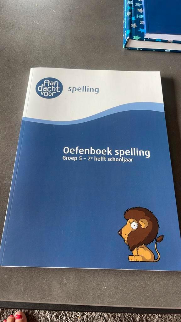 Spelling groep 5 Oefenboek - 2e helft schooljaar, Boeken, Schoolboeken, Nieuw, Nederlands, Overige niveaus, Ophalen of Verzenden