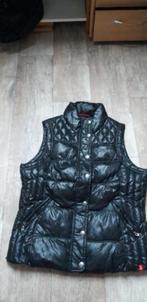 ESPRIT bodywarmer maat XXL NIEUW, Kleding | Dames, Bodywarmers, Zwart, Maat 46/48 (XL) of groter, Nieuw, Ophalen of Verzenden